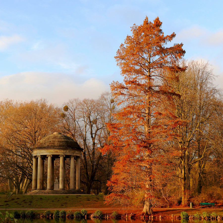 Heiratsantrag in Hannover: Der Leibniz Tempel im Georgengarten